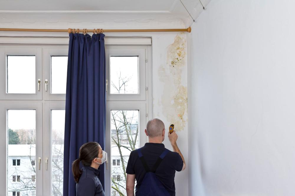 Traitement humidité murs à Saint-Christophe